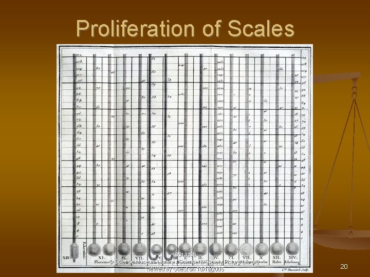 Proliferation of Scales 20 