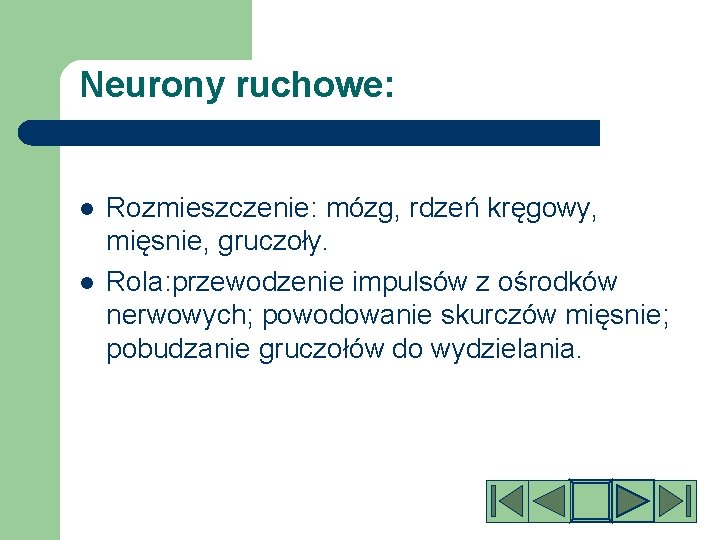 Neurony ruchowe: l l Rozmieszczenie: mózg, rdzeń kręgowy, mięsnie, gruczoły. Rola: przewodzenie impulsów z