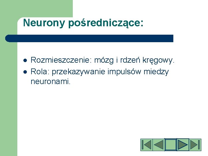 Neurony pośredniczące: l l Rozmieszczenie: mózg i rdzeń kręgowy. Rola: przekazywanie impulsów miedzy neuronami.