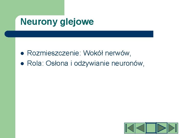 Neurony glejowe l l Rozmieszczenie: Wokół nerwów, Rola: Osłona i odżywianie neuronów, 