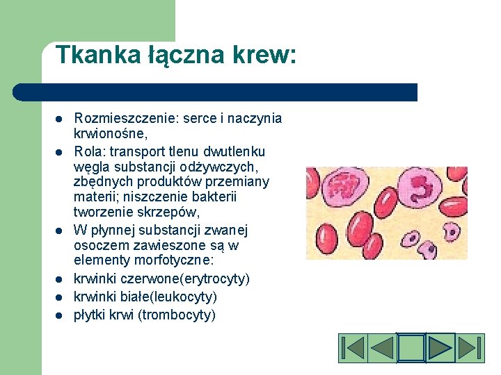 Tkanka łączna krew: l l l Rozmieszczenie: serce i naczynia krwionośne, Rola: transport tlenu