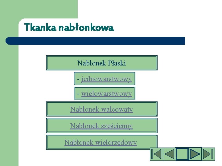 Tkanka nabłonkowa Nabłonek Płaski - jednowarstwowy - wielowarstwowy Nabłonek walcowaty Nabłonek sześcienny Nabłonek wielorzędowy