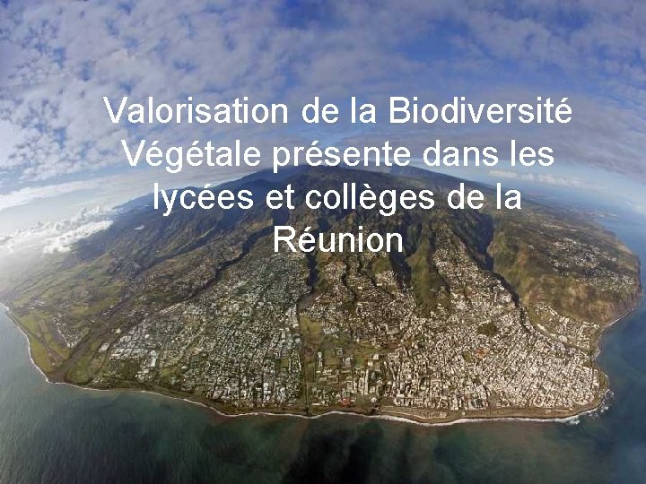 Valorisation de la Biodiversité Végétale présente dans les lycées et collèges de la Réunion