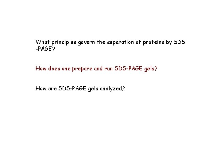 What principles govern the separation of proteins by SDS -PAGE? How does one prepare
