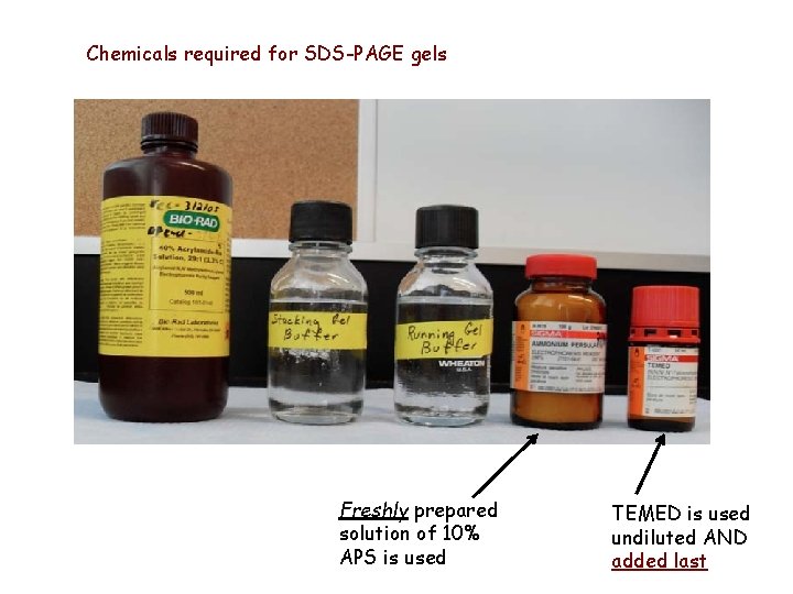 Chemicals required for SDS-PAGE gels Freshly prepared solution of 10% APS is used TEMED