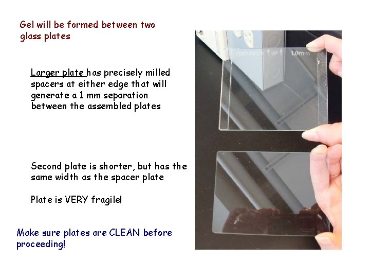 Gel will be formed between two glass plates Larger plate has precisely milled spacers