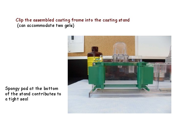 Clip the assembled casting frame into the casting stand (can accommodate two gels) Spongy