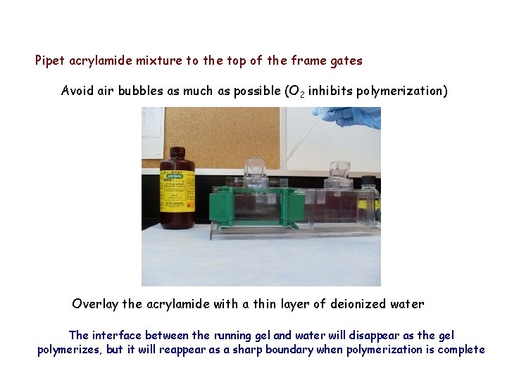 Pipet acrylamide mixture to the top of the frame gates Avoid air bubbles as