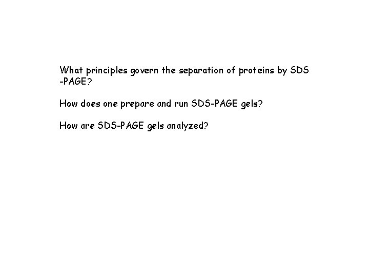 What principles govern the separation of proteins by SDS -PAGE? How does one prepare