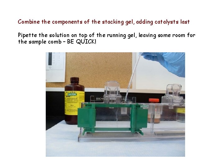 Combine the components of the stacking gel, adding catalysts last Pipette the solution on