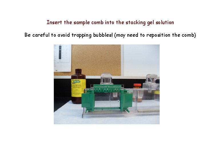 Insert the sample comb into the stacking gel solution Be careful to avoid trapping