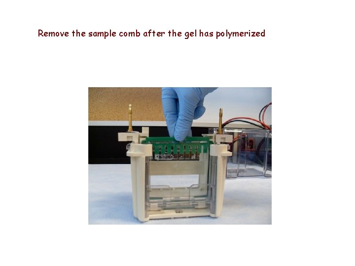 Remove the sample comb after the gel has polymerized 