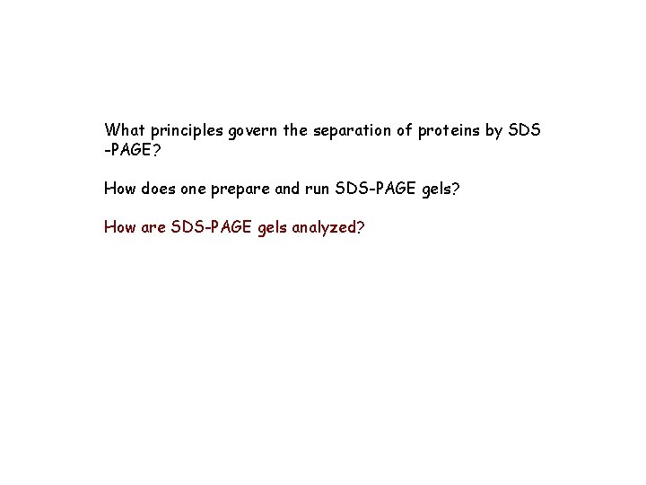 What principles govern the separation of proteins by SDS -PAGE? How does one prepare