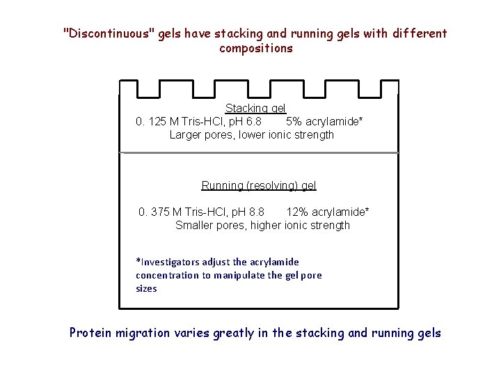 "Discontinuous" gels have stacking and running gels with different compositions Stacking gel 0. 125