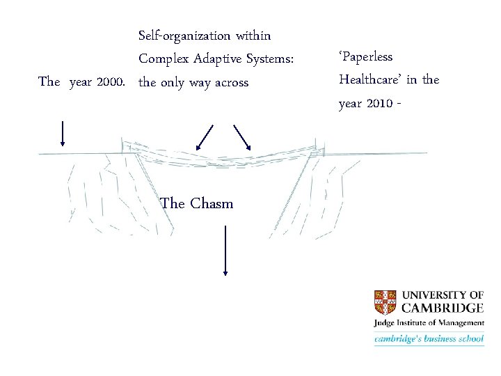 Self-organization within Complex Adaptive Systems: The year 2000. the only way across The Chasm