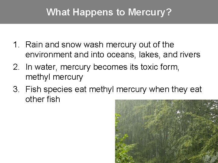 What Happens to Mercury? 1. Rain and snow wash mercury out of the environment What Happens to Mercury? 1. Rain and snow wash mercury out of the environment