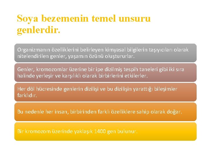 Soya bezemenin temel unsuru genlerdir. Organizmanın özelliklerini belirleyen kimyasal bilgilerin taşıyıcıları olarak nitelendirilen genler,