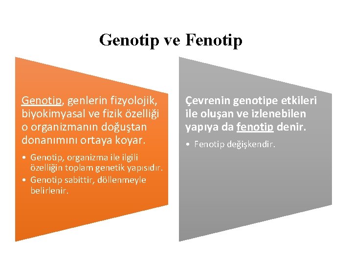 Genotip ve Fenotip Genotip, genlerin fizyolojik, biyokimyasal ve fizik özelliği o organizmanın doğuştan donanımını