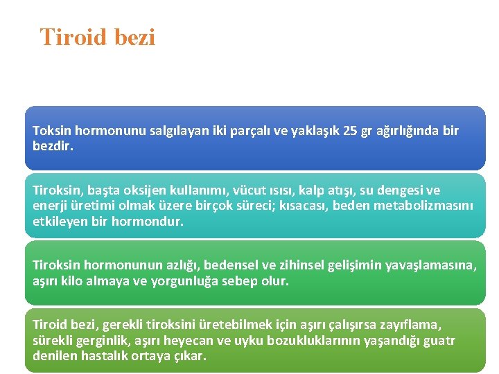 Tiroid bezi Toksin hormonunu salgılayan iki parçalı ve yaklaşık 25 gr ağırlığında bir bezdir.