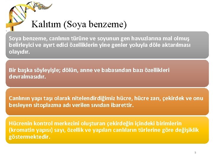 Kalıtım (Soya benzeme) Soya benzeme, canlının türüne ve soyunun gen havuzlarına mal olmuş belirleyici