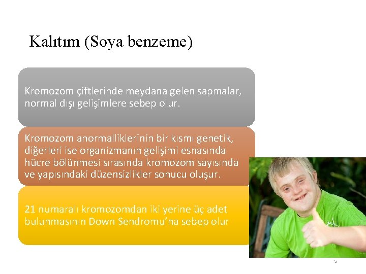 Kalıtım (Soya benzeme) Kromozom çiftlerinde meydana gelen sapmalar, normal dışı gelişimlere sebep olur. Kromozom