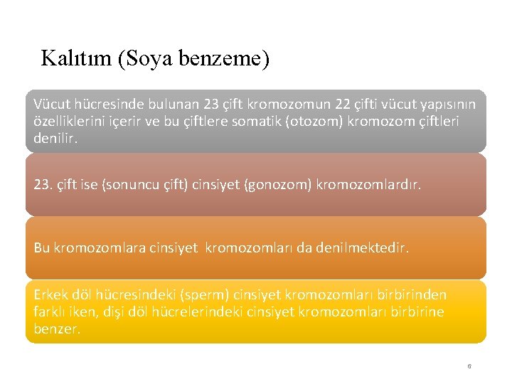 Kalıtım (Soya benzeme) Vücut hücresinde bulunan 23 çift kromozomun 22 çifti vücut yapısının özelliklerini