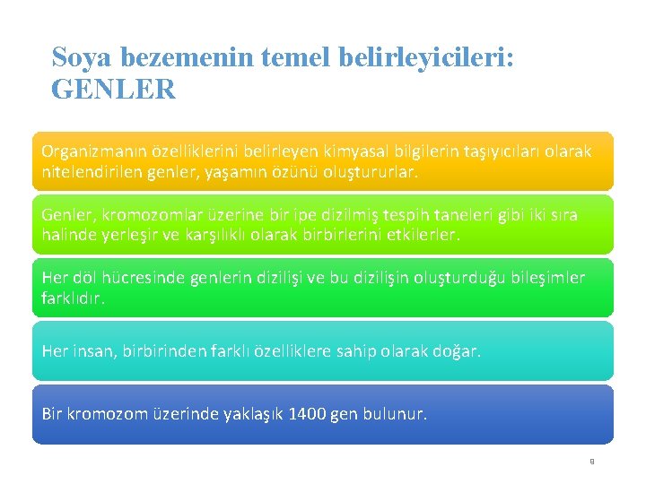 Soya bezemenin temel belirleyicileri: GENLER Organizmanın özelliklerini belirleyen kimyasal bilgilerin taşıyıcıları olarak nitelendirilen genler,