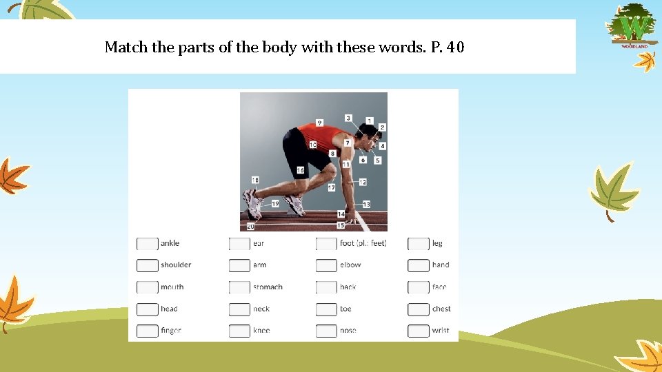 Match the parts of the body with these words. P. 40 