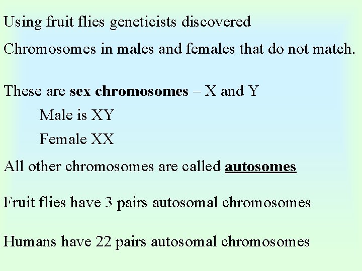 Using fruit flies geneticists discovered Chromosomes in males and females that do not match.