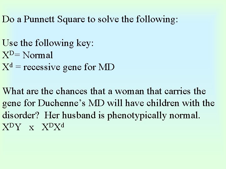Do a Punnett Square to solve the following: Use the following key: XD= Normal