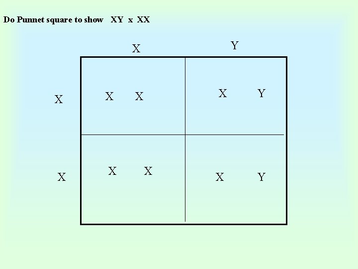 Do Punnet square to show XY x XX Y X X X X Y