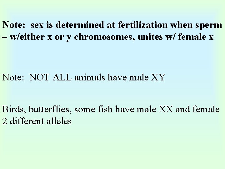 Note: sex is determined at fertilization when sperm – w/either x or y chromosomes,