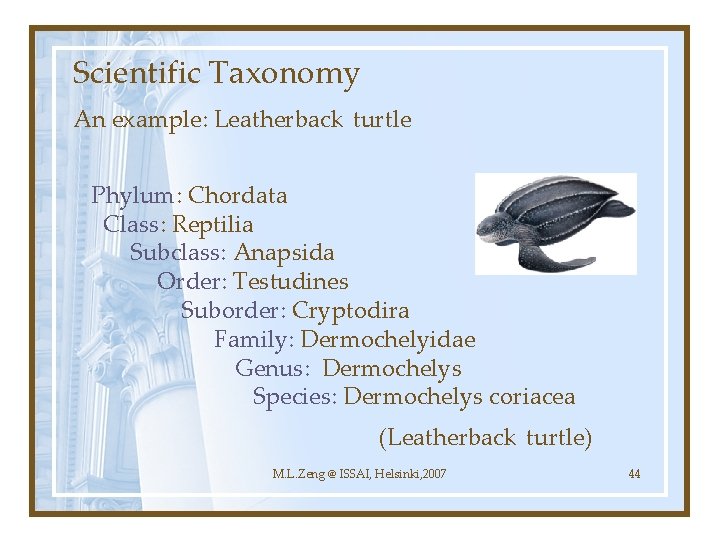 Scientific Taxonomy An example: Leatherback turtle Phylum: Chordata Class: Reptilia Subclass: Anapsida Order: Testudines
