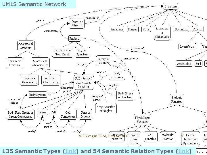 UMLS Semantic Network M. L. Zeng @ ISSAI, Helsinki, 2007 58 135 Semantic Types