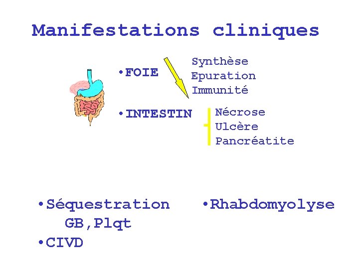 Manifestations cliniques • FOIE Synthèse Epuration Immunité • INTESTIN • Séquestration GB, Plqt •