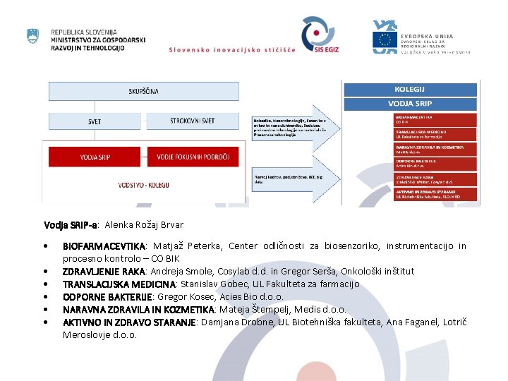 Vodja SRIP-a: Alenka Rožaj Brvar BIOFARMACEVTIKA: Matjaž Peterka, Center odličnosti za biosenzoriko, instrumentacijo in