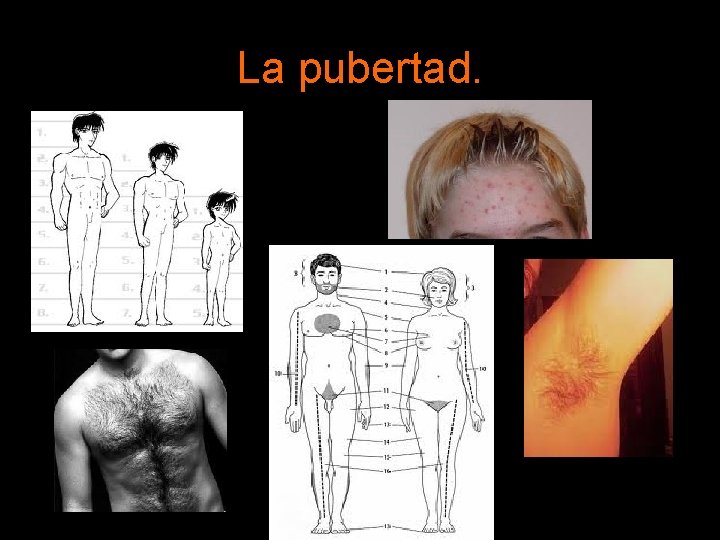 La pubertad. La pubertad.