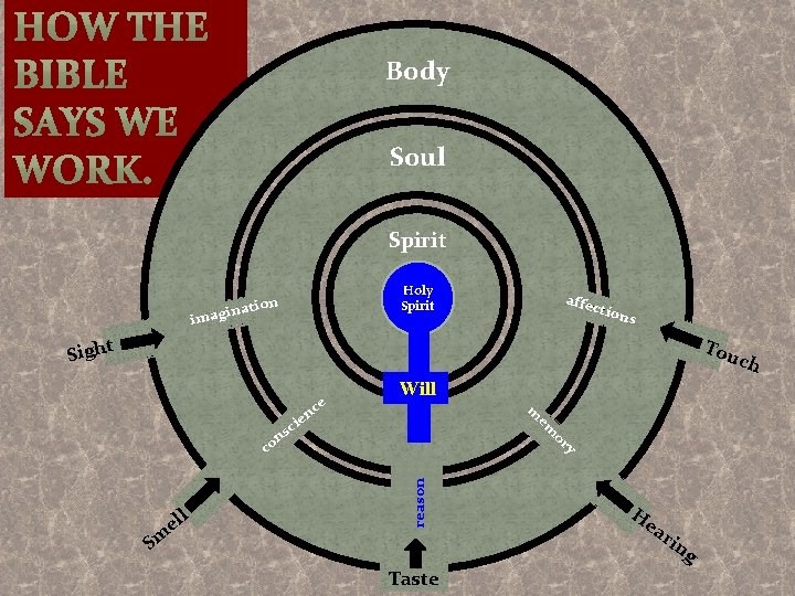 The Human Being Is Made For Two Worlds The Human Being Is Made For Two Worlds