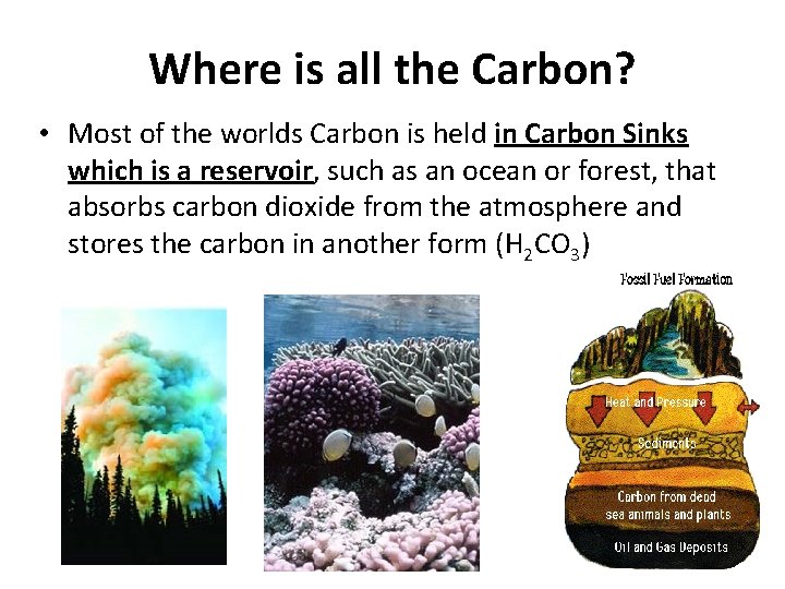 Where is all the Carbon? • Most of the worlds Carbon is held in