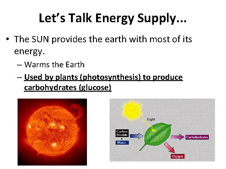 Let’s Talk Energy Supply. . . • The SUN provides the earth with most