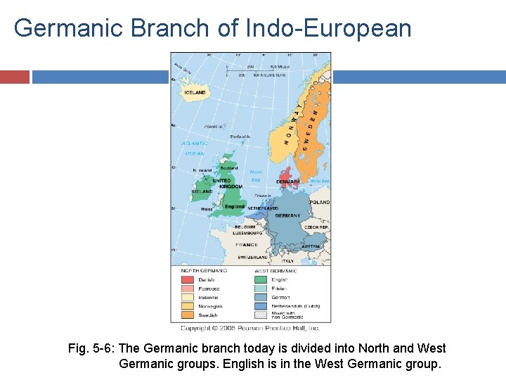 Germanic Branch of Indo-European Fig. 5 -6: The Germanic branch today is divided into