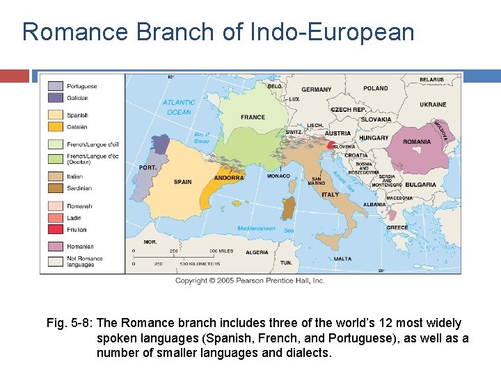 Romance Branch of Indo-European Fig. 5 -8: The Romance branch includes three of the