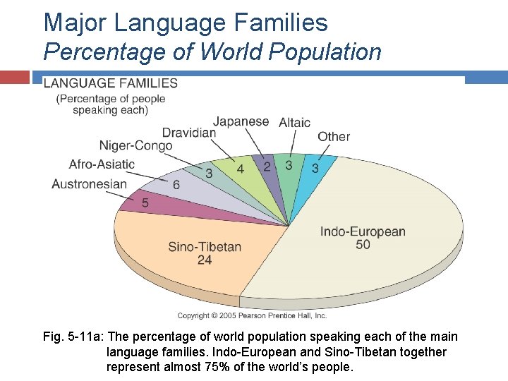 Major Language Families Percentage of World Population Fig. 5 -11 a: The percentage of