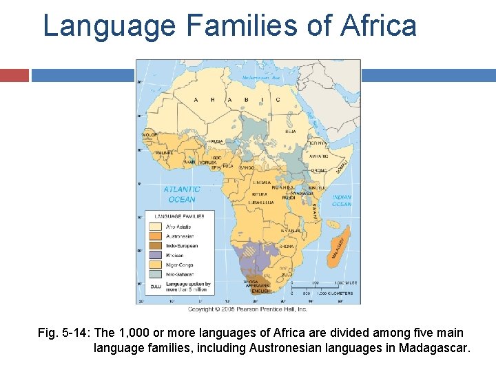 Language Families of Africa Fig. 5 -14: The 1, 000 or more languages of