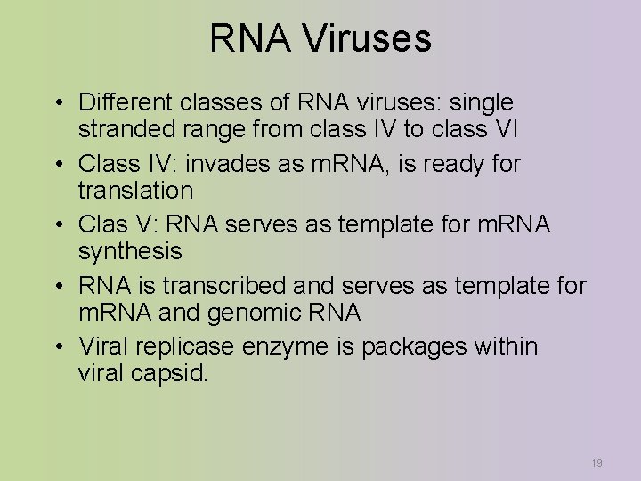 RNA Viruses • Different classes of RNA viruses: single stranded range from class IV