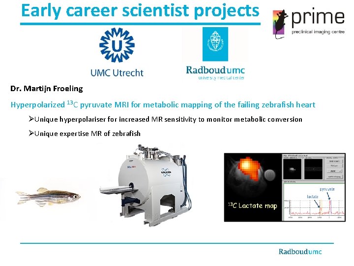 Early career scientist projects Dr. Martijn Froeling Hyperpolarized 13 C pyruvate MRI for metabolic