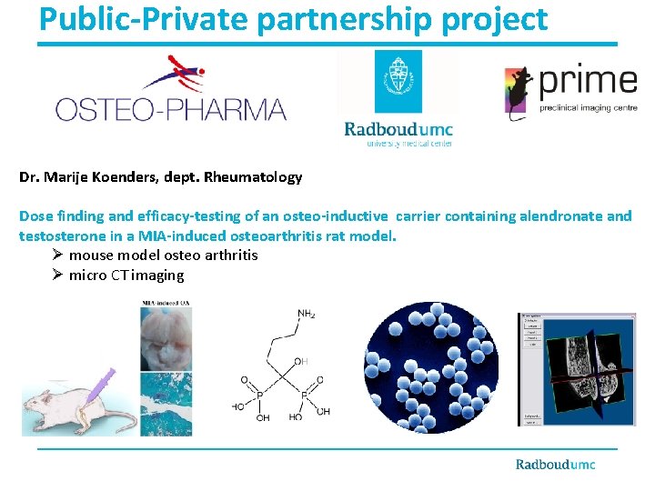 Public-Private partnership project Dr. Marije Koenders, dept. Rheumatology Dose finding and efficacy-testing of an