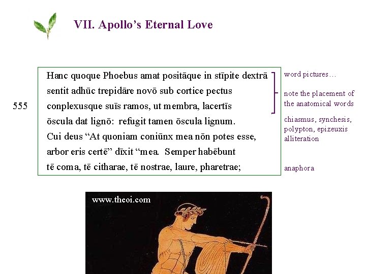 VII. Apollo’s Eternal Love 555 Hanc quoque Phoebus amat positāque in stīpite dextrā sentit