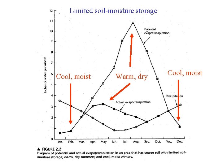 Limited soil-moisture storage Cool, moist Warm, dry Cool, moist 