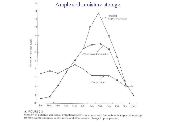 Ample soil-moisture storage 